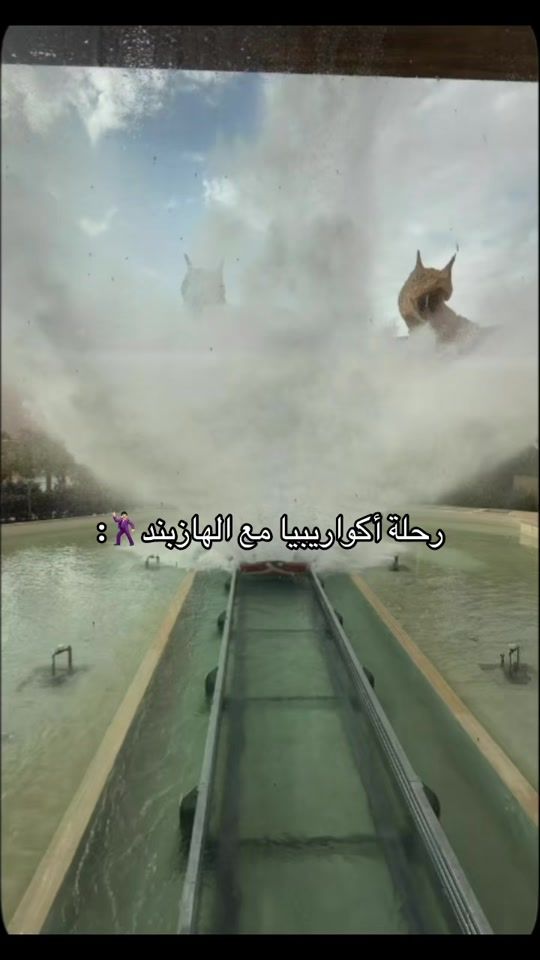 TikTok video thumbnail by ashk.245