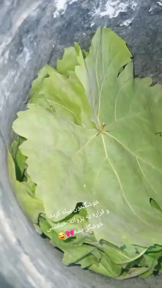 TikTok video thumbnail by fateme.abdoli3