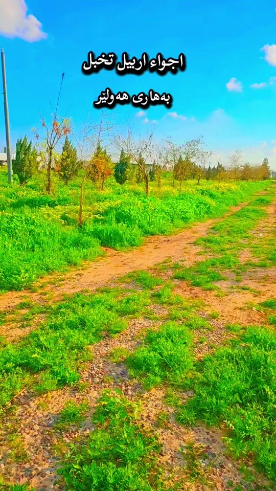 TikTok video thumbnail by shwan.72
