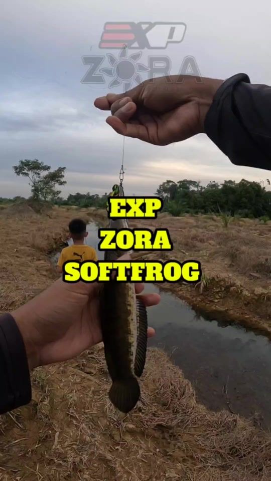 TikTok video thumbnail by kingcurutz