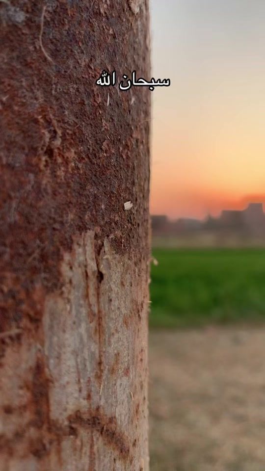 TikTok video thumbnail by mo_alozy