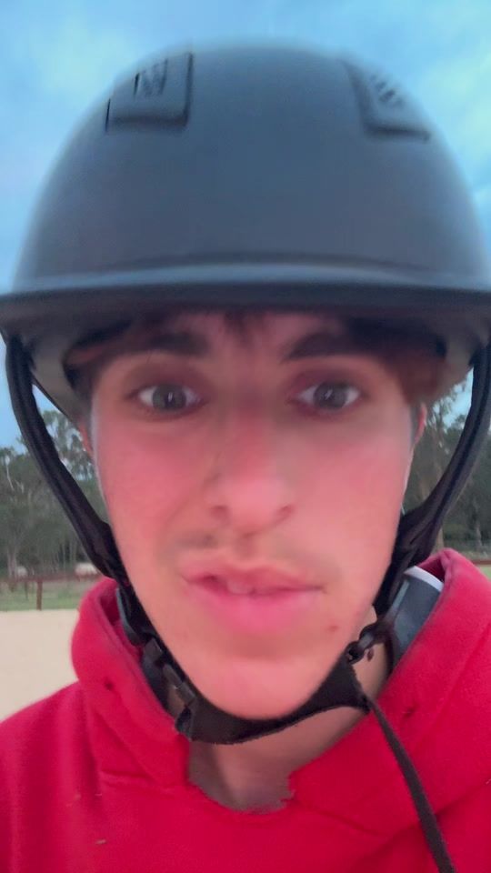 TikTok video thumbnail by equine_maverick