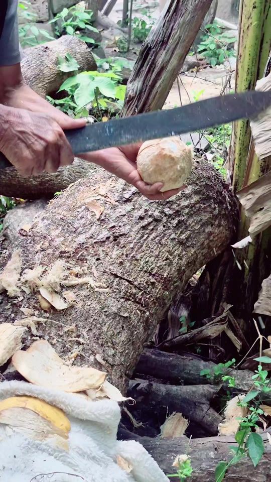 TikTok video thumbnail by barbeydonjavi