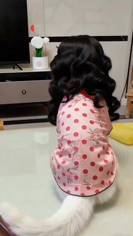 TikTok video thumbnail by douyinvideos5