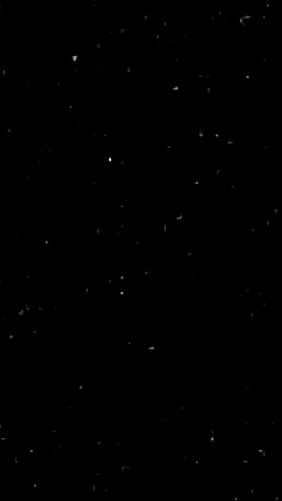 TikTok video thumbnail by ____snowii