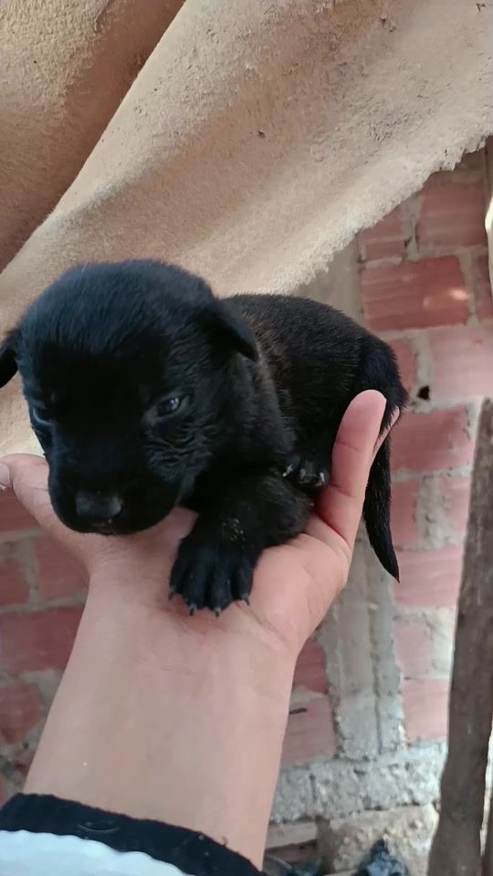 TikTok video thumbnail by mali_noi07