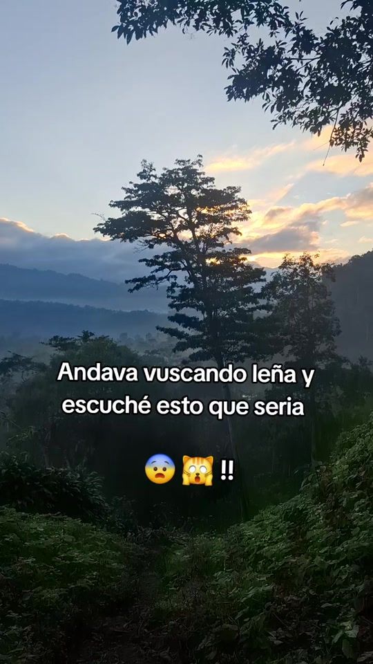 TikTok video thumbnail by josepalacio___
