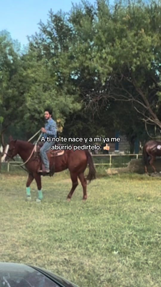 TikTok video thumbnail by klev.mx