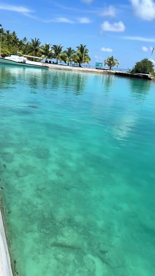 TikTok video thumbnail by aadhi_laaa