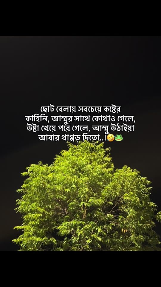 TikTok video thumbnail by sadik_talukdar_33