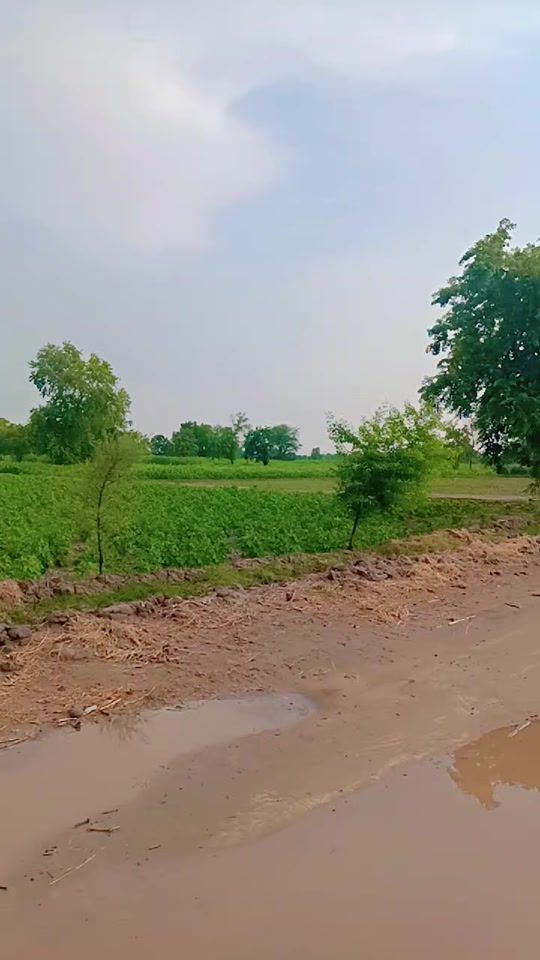 TikTok video thumbnail by munawarsab6