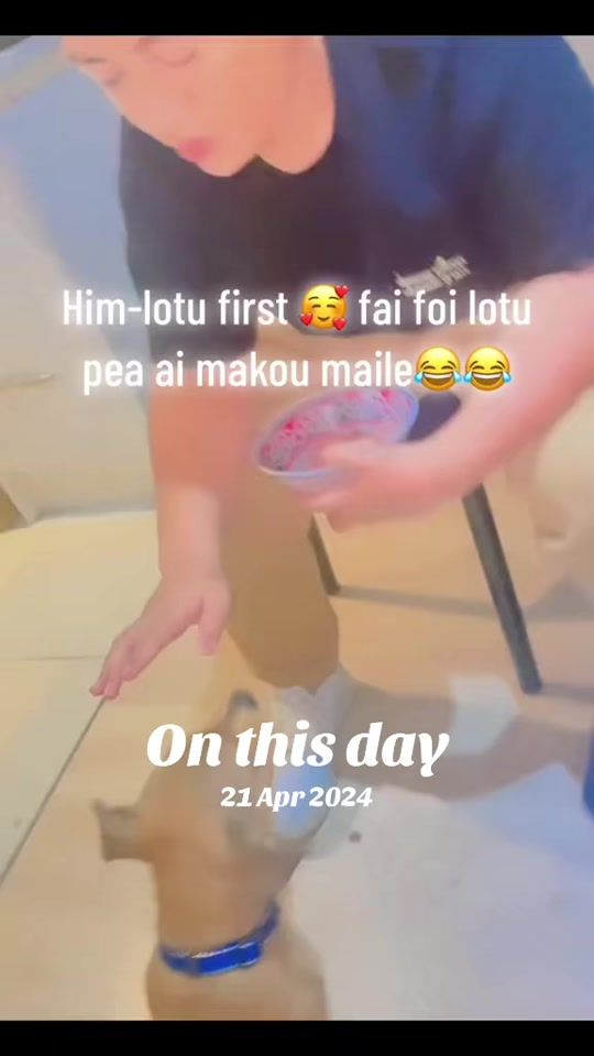 TikTok video thumbnail by humble_2012