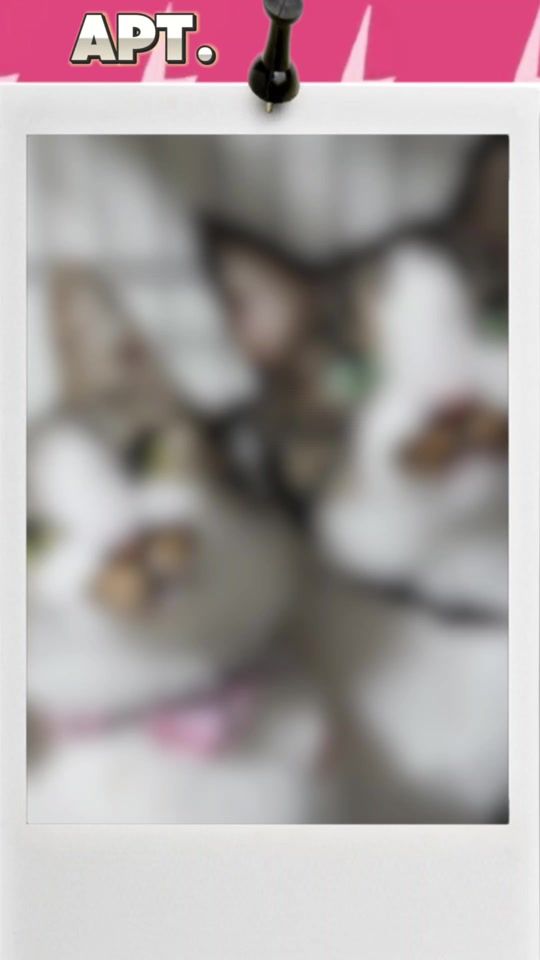 TikTok video thumbnail by chicchi428