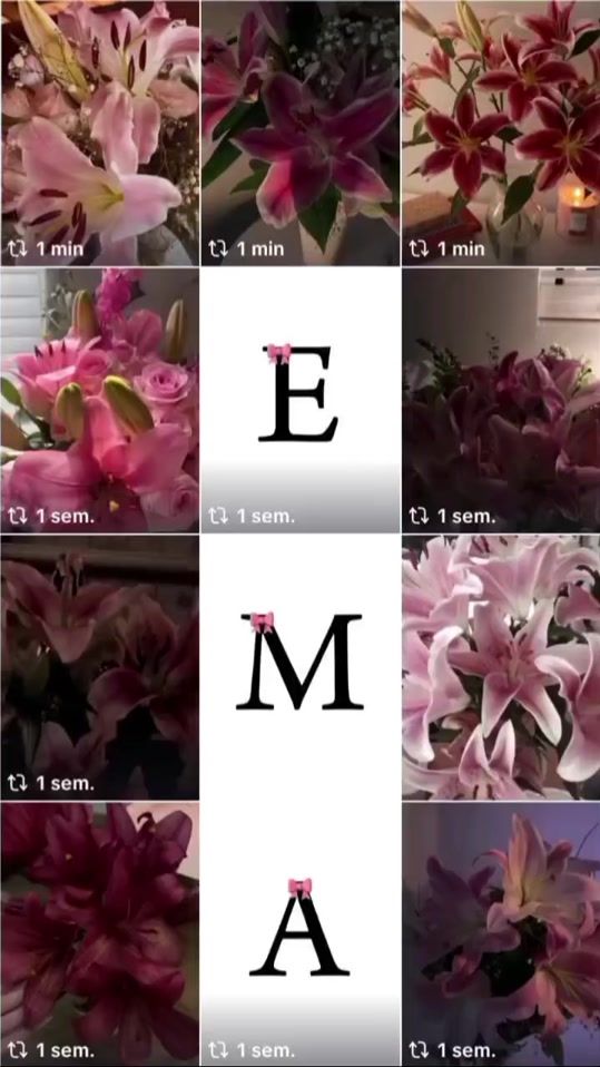 TikTok video thumbnail by _alves_1718