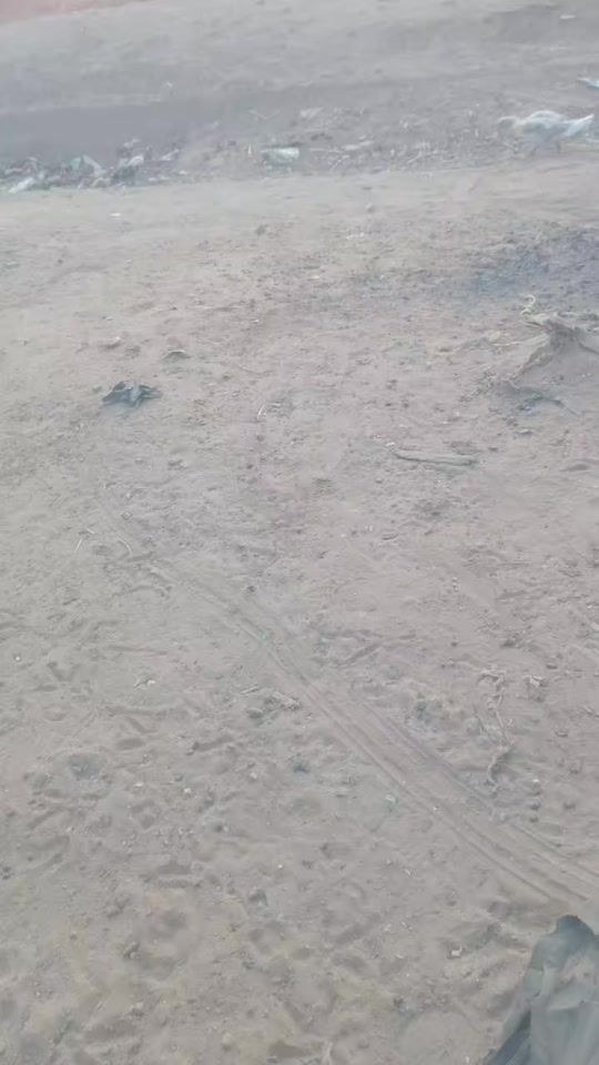 TikTok video thumbnail by bn.ezu