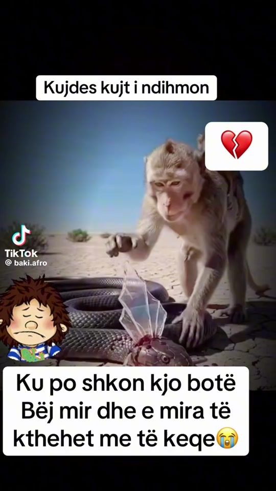 TikTok video thumbnail by user.321861