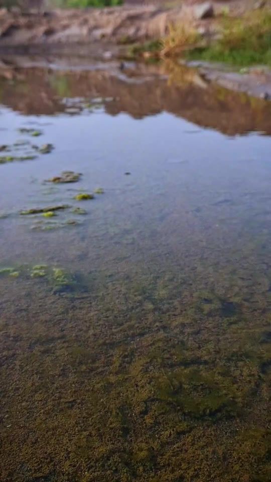 TikTok video thumbnail by mypen4098