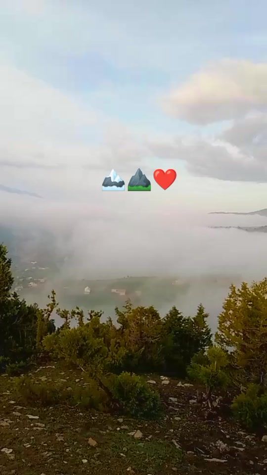 TikTok video thumbnail by oddiybolla0009