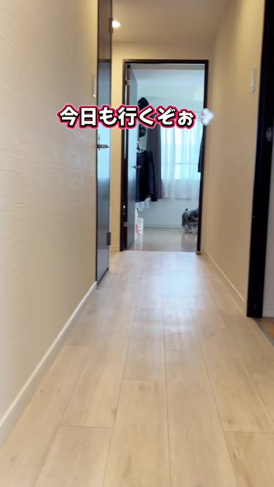TikTok video thumbnail by achico0707