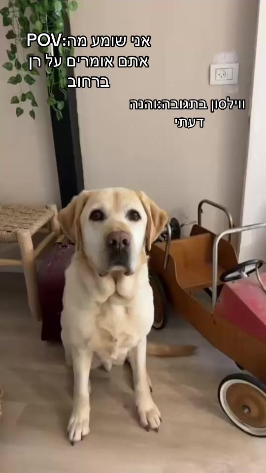 TikTok video thumbnail by rannitka1976