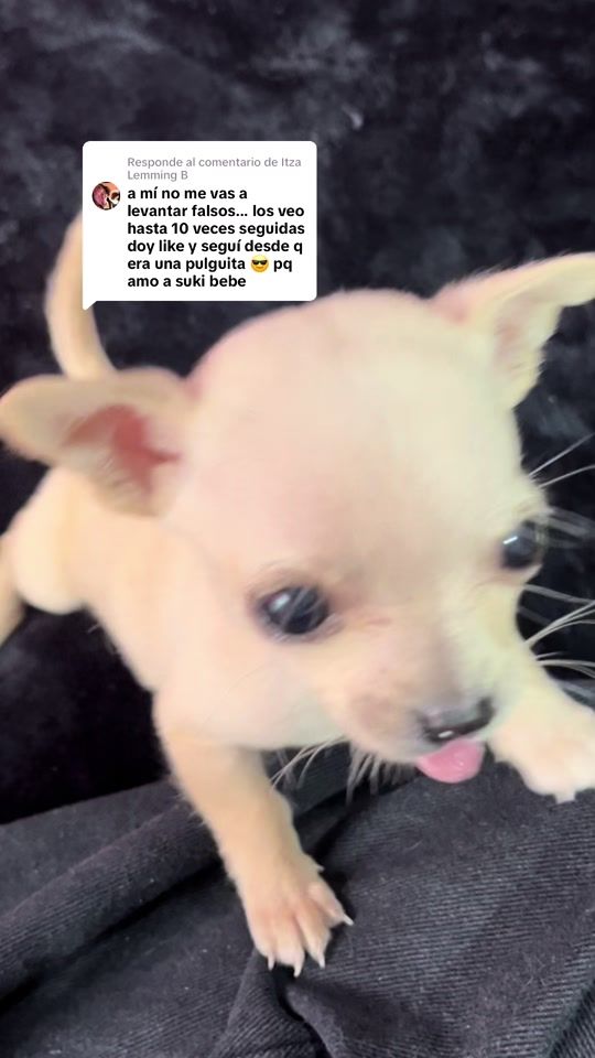 TikTok video thumbnail by sukiaprende