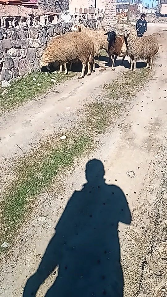 TikTok video thumbnail by mustafa.cavus.kardas
