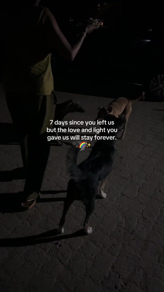 TikTok video thumbnail by dasuniiiii