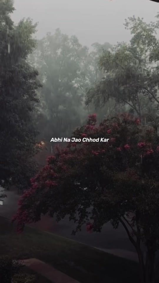 TikTok video thumbnail by b0limv