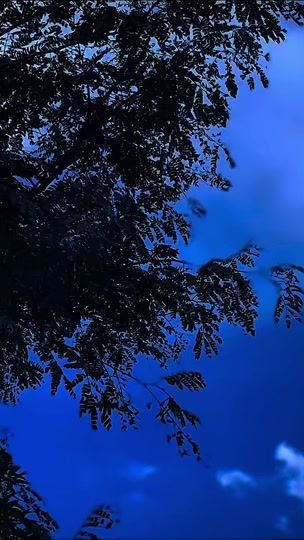 TikTok video thumbnail by chris.mt7