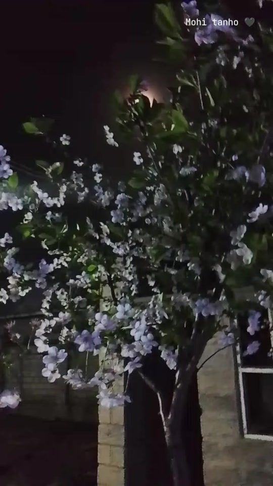 TikTok video thumbnail by 1_mohtobak_