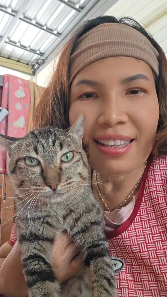 TikTok video thumbnail by pang_pond27