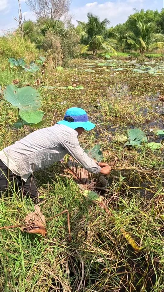 TikTok video thumbnail by bombom_vlog