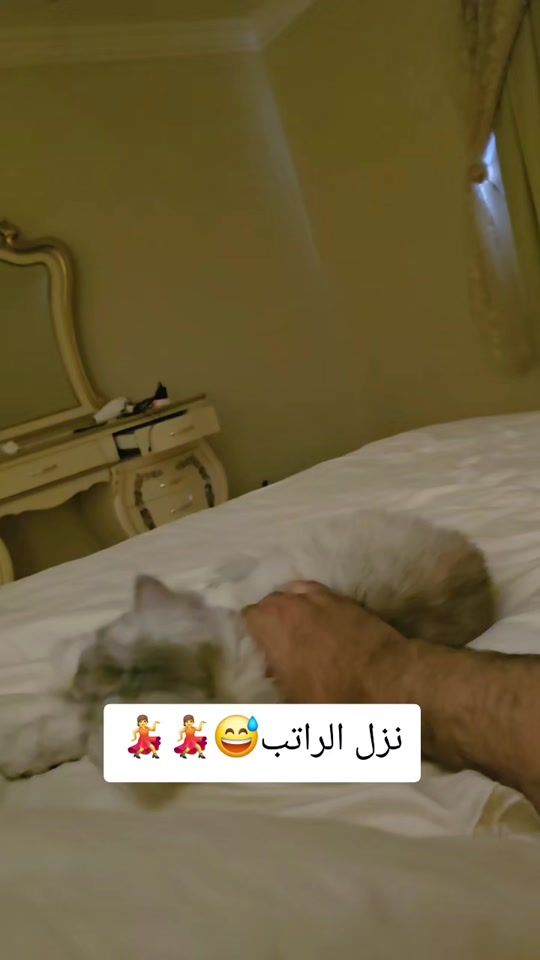 TikTok video thumbnail by luska_moroco