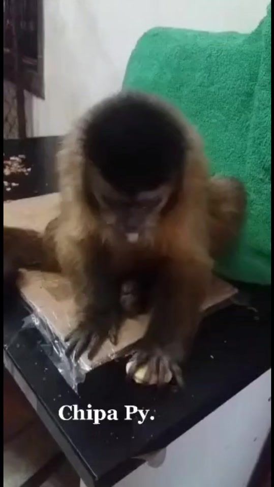 TikTok video thumbnail by ismacsi