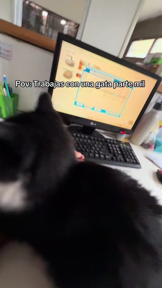TikTok video thumbnail by cristianherreraa_