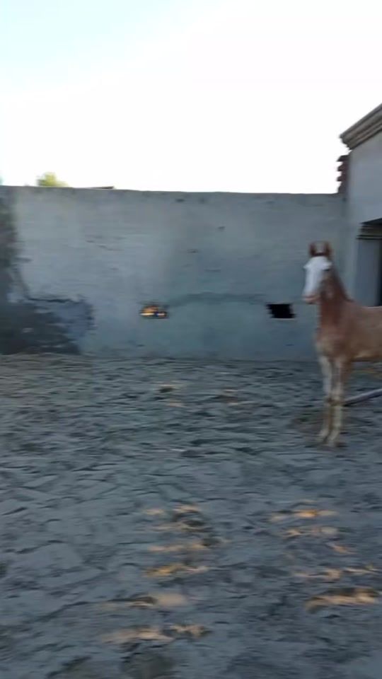 TikTok video thumbnail by gr_farming