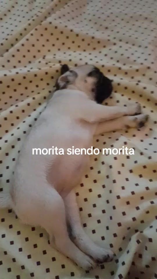 TikTok video thumbnail by zoe57908