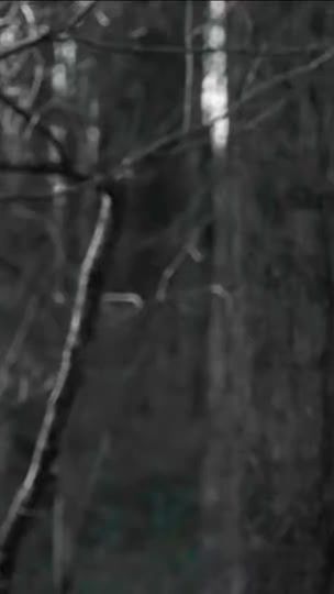 TikTok video thumbnail by ty_88