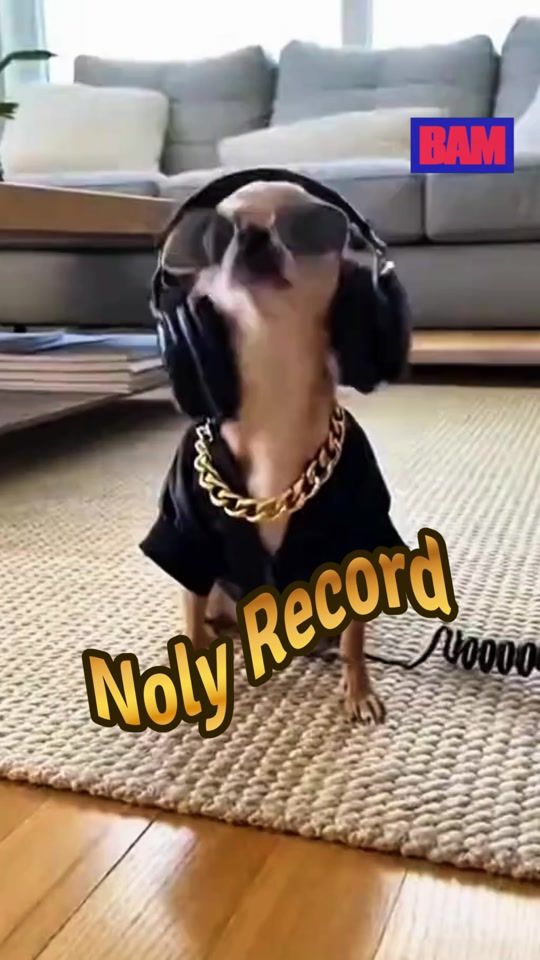 TikTok video thumbnail by bamcambodia