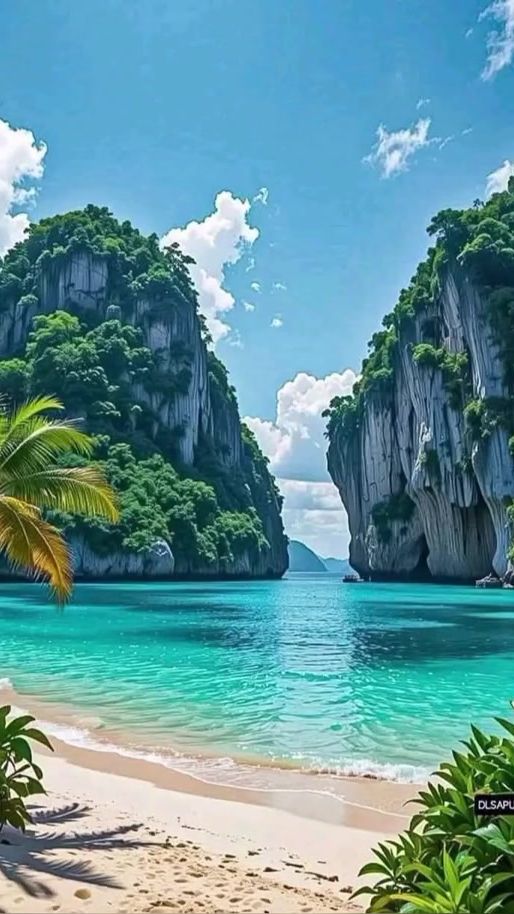 TikTok video thumbnail by rodas0233