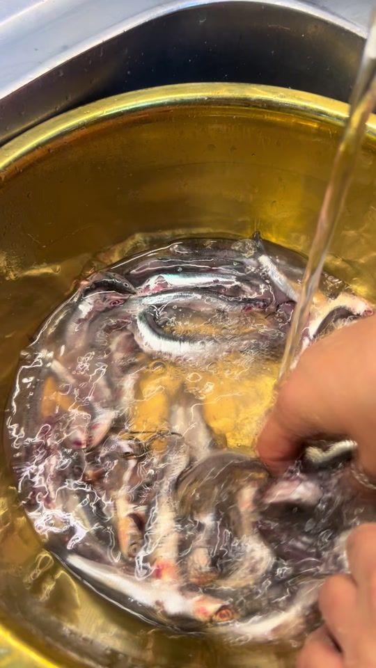 TikTok video thumbnail by da.widad.widoo.19