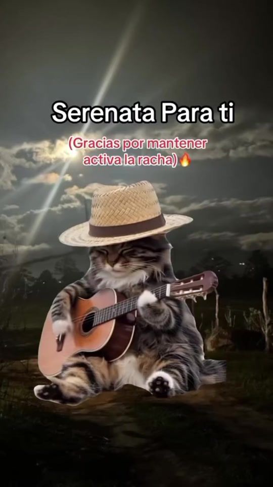 TikTok video thumbnail by yanet.103