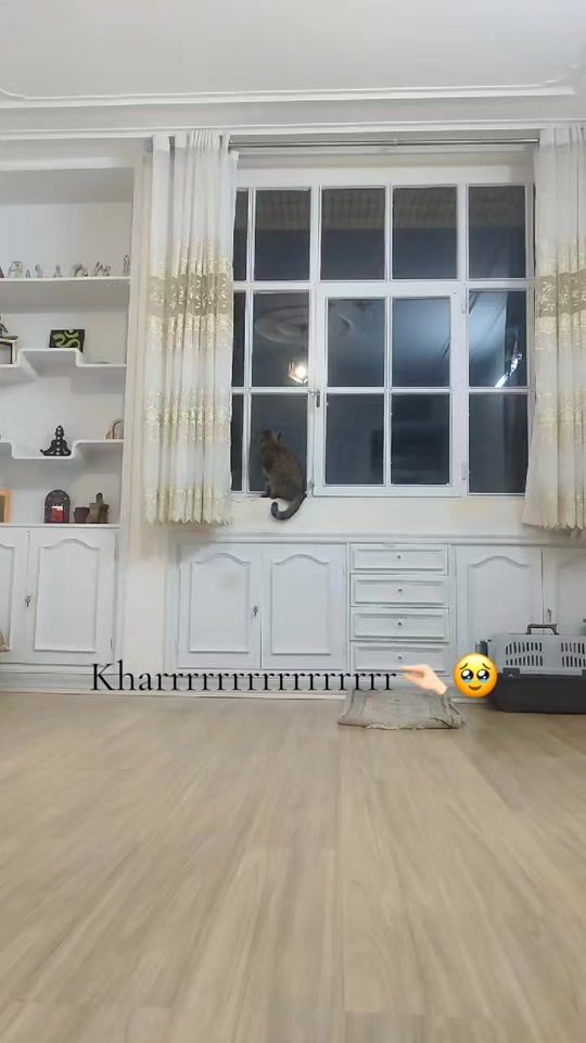 TikTok video thumbnail by bita56387