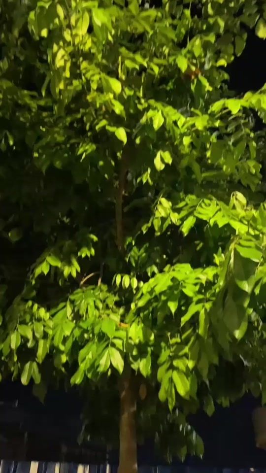 TikTok video thumbnail by darly.akds