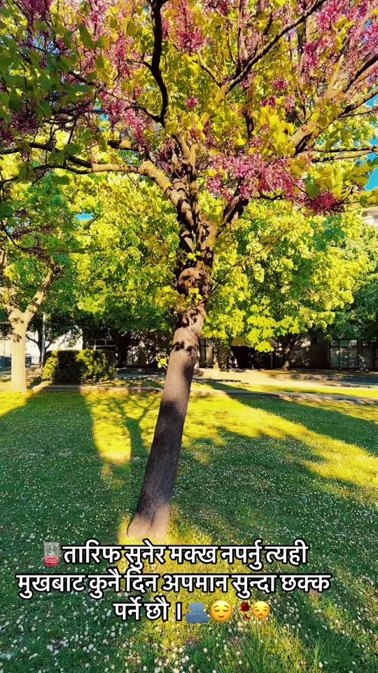 TikTok video thumbnail by kc.manoj
