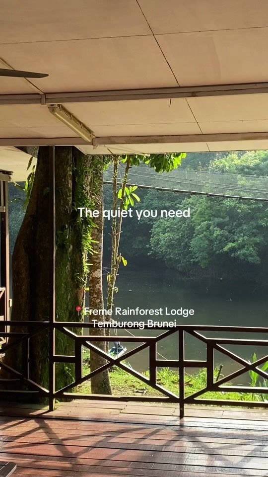 TikTok video thumbnail by freme_rainforest_lodge