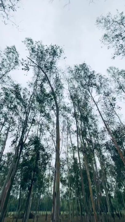 TikTok video thumbnail by n_a_i_m__007