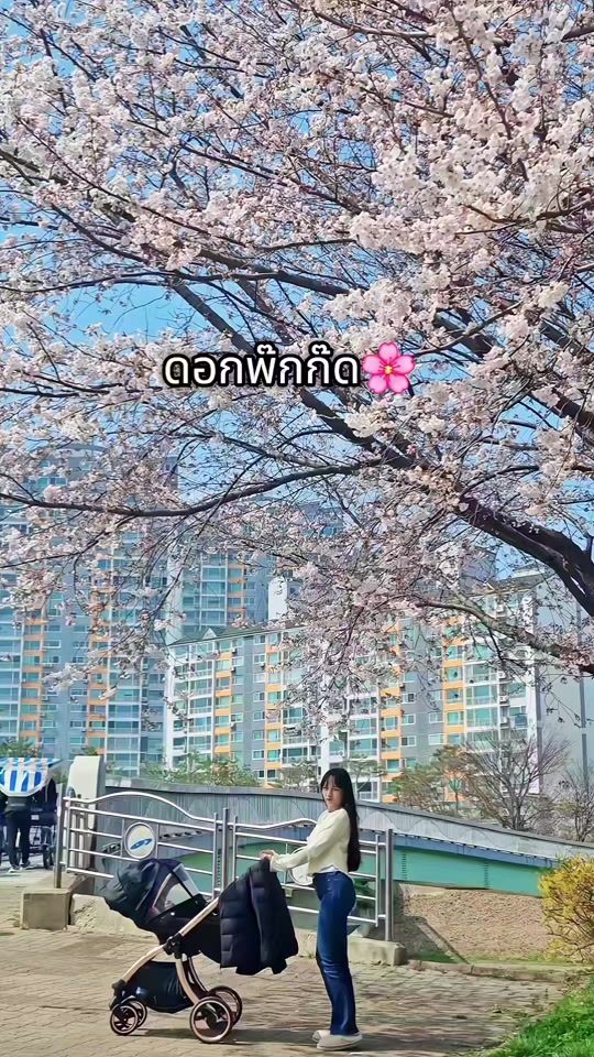 TikTok video thumbnail by eiw_55