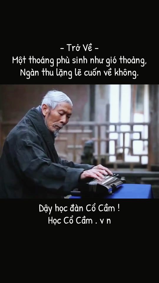 TikTok video thumbnail by guqinvietnam.com