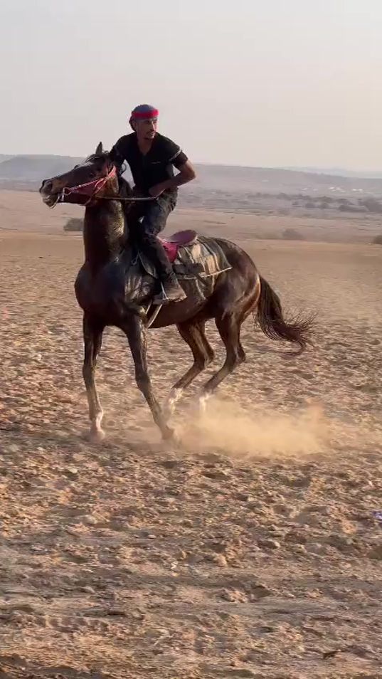 TikTok video thumbnail by sameh_alfarawneh__818